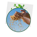 Dakota Dry Bean, Inc. logo