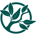 DALLAS CLARK FOUNDATION logo