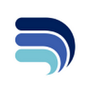 Dallas Symphony Foundation logo
