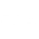 Dallas Web Agency logo