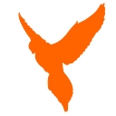 Damar Limited logo