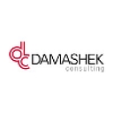 Damashek Consulting logo