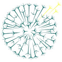 Dandelion Health