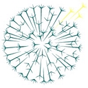 Dandelion Health Inc