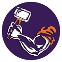 Danville Area SD logo