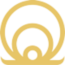 Dar Al Fouad Hospital logo