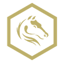 darkhorseemergency logo