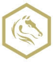 Darkhorse Emergency Services logo