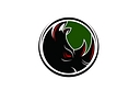 Dark Rhino Security logo