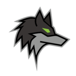 Dark Wolf Solutions logo