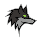 Darkwolfsolutions logo