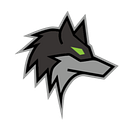 Dark Wolf Solutions logo