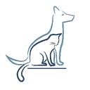 Darlington Veterinary Hospital