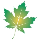Darrick Wood Infant School logo