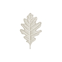 Darroch Learg Hotels Limited logo