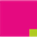 das-pfalz-magazin.de logo