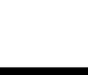 Dash Neuron logo