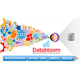 Databloom Consulting logo