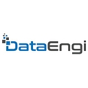 Dataengi logo