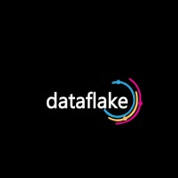 Dataflake logo