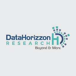 Logo of datahorizzonresearch.com