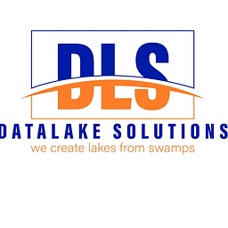Data Lake Solutions LLC logo