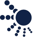 Datalink Networks logo