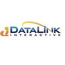 Datalink Interactive, Inc. logo