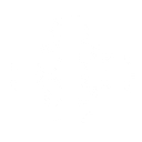 DataPlane.org Logo