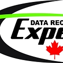 Data Recovery Expert logo