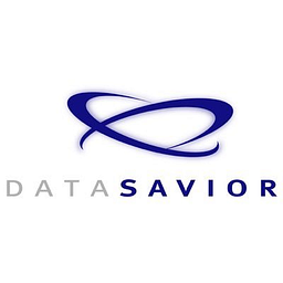 datasavior.com