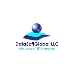 DataSoft Global LLC logo