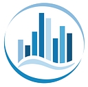 Data Solutions International logo