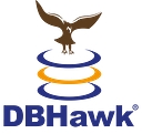 Datasparc Inc. logo
