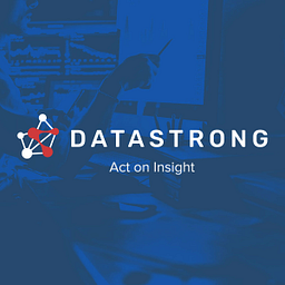 Datastrong, LLC logo