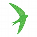 Dataswift Network Services Ltd logo