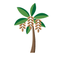 Date Palm Consulting logo