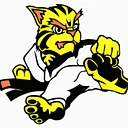 Daventry Tigers Taekwondo logo