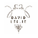 David Leslie Ltd logo