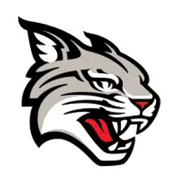 Davidson Wildcats logo