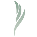 The Irene E and George A Davis Foundation logo