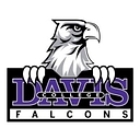 Davis College