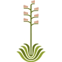 Desert Botanical Garden logo