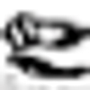 David B Jones Foundation logo