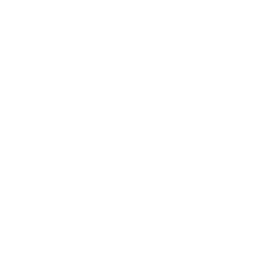 DBS ROOFING logo