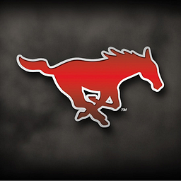 DENVER CITY H S logo