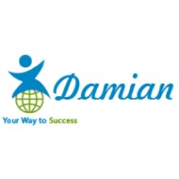 Damian Consulting logo