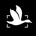 Dcoy Studios logo