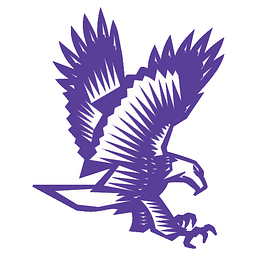DOWNSVILLE CENTRAL SCHOOL logo