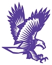 Downsville Central School District logo